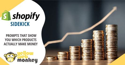 shopify sidekick prompts for profit