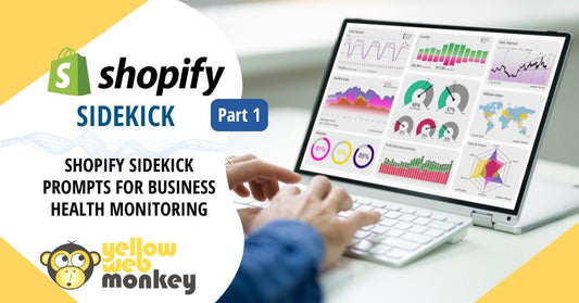 shopify sidekick prompts for business health