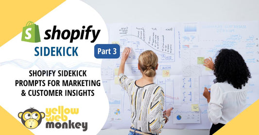 Part 3: Shopify Sidekick Prompts for Marketing & Customer Insights