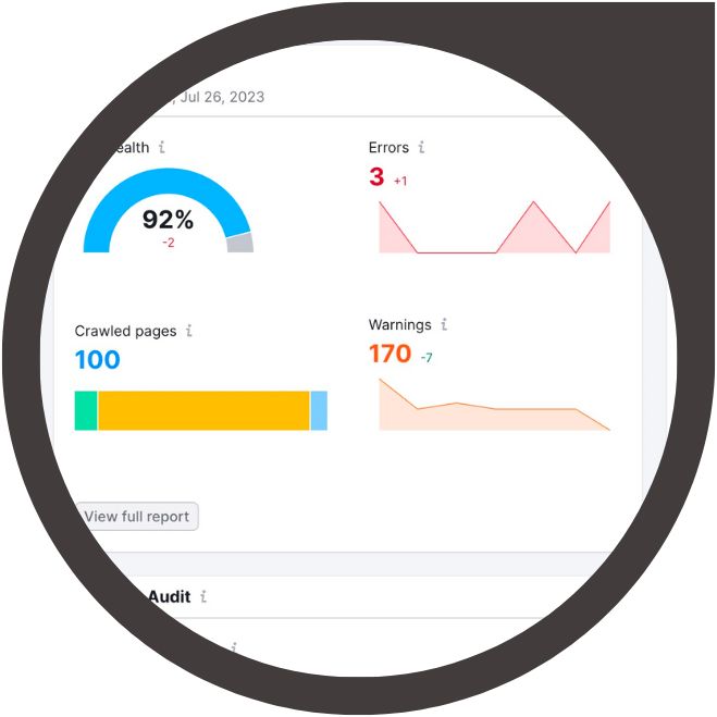 YellowWebMonkey SEO Resources Available For Purchase. Technical SEO Audit and Optimization